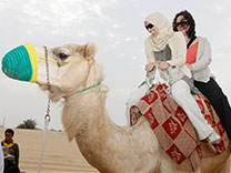 Camel Safari - Dubai