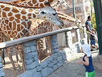 Emirates Park Zoo Tour