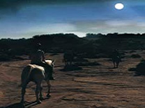 Horseback Riding - Full Moon