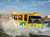 Wonder Bus
