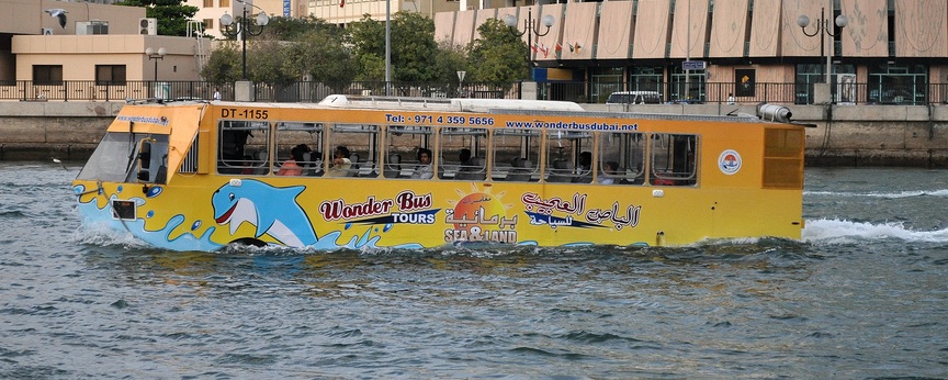Wonder Bus Book Tour & Get Discount